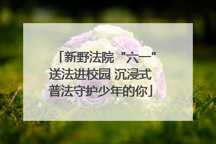 新野法院“六一”送法进校园 沉浸式普法守护少年的你