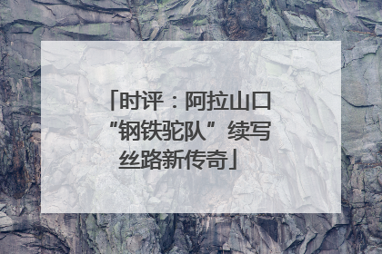 时评：阿拉山口“钢铁驼队”续写丝路新传奇