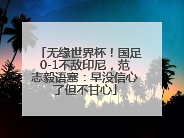 无缘世界杯！国足0-1不敌印尼，范志毅语塞：早没信心了但不甘心