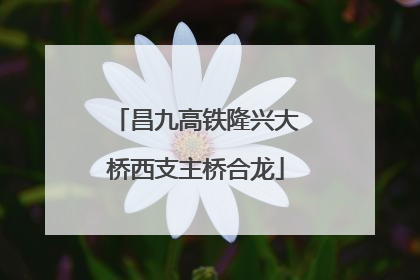 昌九高铁隆兴大桥西支主桥合龙