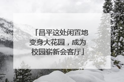 昌平这处闲置地变身大花园，成为校园崭新会客厅