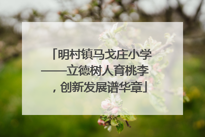 明村镇马戈庄小学——立德树人育桃李，创新发展谱华章
