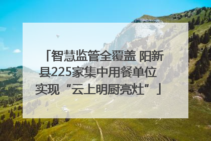 智慧监管全覆盖 阳新县225家集中用餐单位实现“云上明厨亮灶”