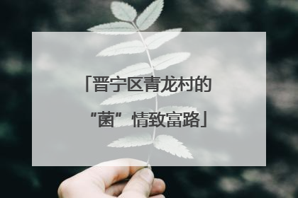 晋宁区青龙村的“菌”情致富路