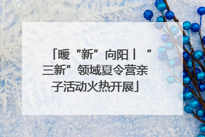 暖“新”向阳丨“三新”领域夏令营亲子活动火热开展