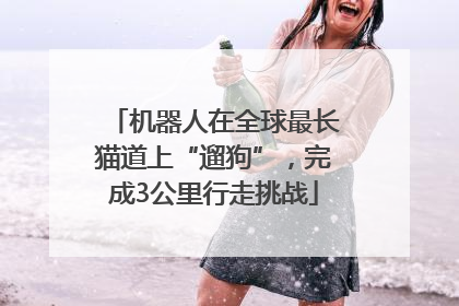 机器人在全球最长猫道上“遛狗”，完成3公里行走挑战