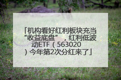 机构看好红利板块充当“收益底盘”，红利低波动ETF（563020）今年第2次分红来了