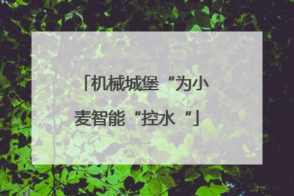 机械城堡“为小麦智能“控水“