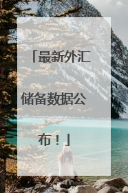 最新外汇储备数据公布！