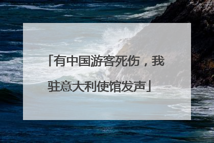 有中国游客死伤，我驻意大利使馆发声