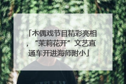 木偶戏节目精彩亮相，“茉莉花开”文艺直通车开进海师附小