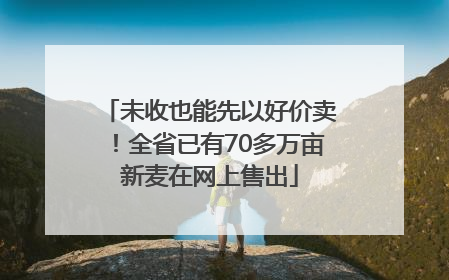 未收也能先以好价卖！全省已有70多万亩新麦在网上售出