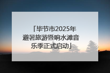 毕节市2025年避暑旅游暨响水滩音乐季正式启动