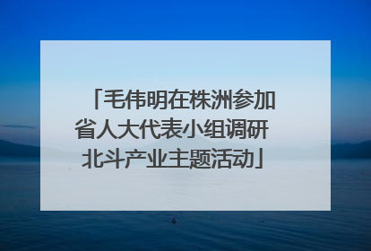 毛伟明在株洲参加省人大代表小组调研北斗产业主题活动