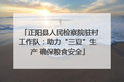 正阳县人民检察院驻村工作队：助力“三夏”生产 确保粮食安全