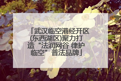武汉临空港经开区(东西湖区)聚力打造“法润网谷 律护临空”普法品牌