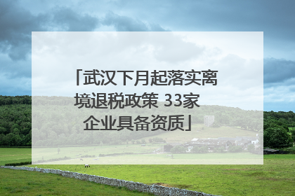 武汉下月起落实离境退税政策 33家企业具备资质