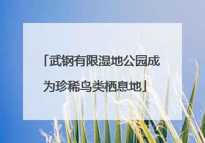 武钢有限湿地公园成为珍稀鸟类栖息地