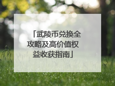 武陵币兑换全攻略及高价值权益收获指南