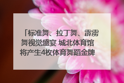 标准舞、拉丁舞、霹雳舞视觉盛宴 城北体育馆将产生4枚体育舞蹈金牌｜世运会探馆行