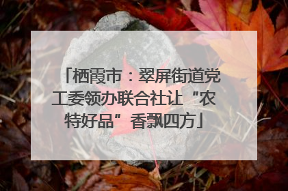 栖霞市：翠屏街道党工委领办联合社让“农特好品”香飘四方