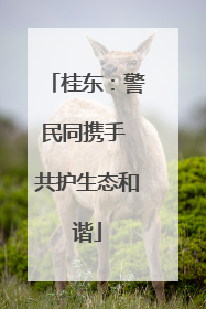 桂东：警民同携手 共护生态和谐