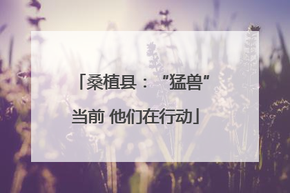 桑植县：“猛兽”当前 他们在行动