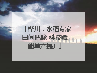 桦川：水稻专家田间把脉 科技赋能单产提升
