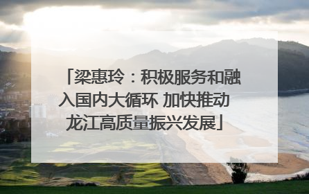 梁惠玲：积极服务和融入国内大循环 加快推动龙江高质量振兴发展