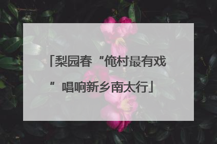 梨园春“俺村最有戏”唱响新乡南太行