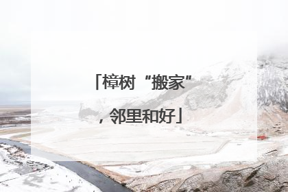樟树“搬家”，邻里和好