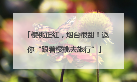 樱桃正红，烟台很甜！邀你“跟着樱桃去旅行”