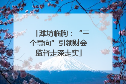 潍坊临朐：“三个导向”引领财会监督走深走实