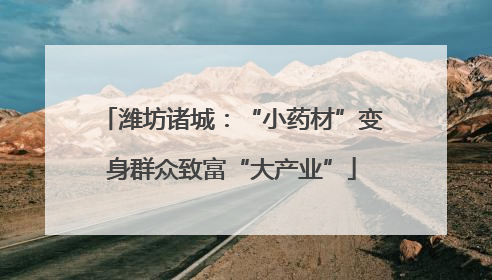潍坊诸城：“小药材”变身群众致富“大产业”