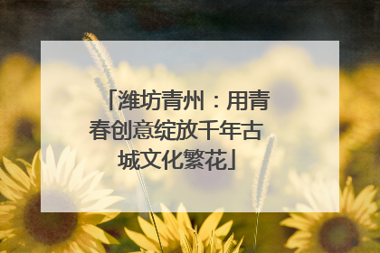潍坊青州：用青春创意绽放千年古城文化繁花