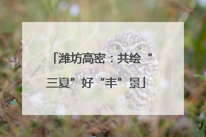 潍坊高密：共绘“三夏”好“丰”景