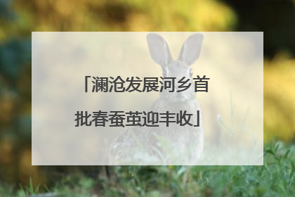 澜沧发展河乡首批春蚕茧迎丰收