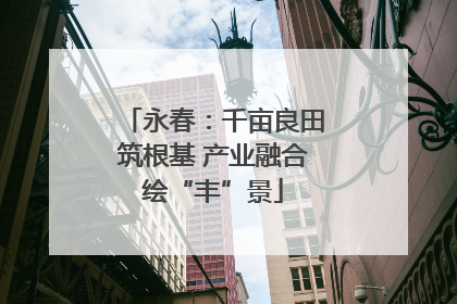 永春：千亩良田筑根基 产业融合绘“丰”景