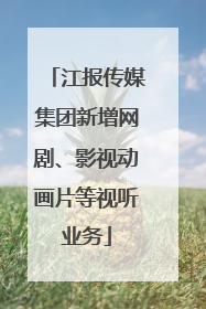 江报传媒集团新增网剧、影视动画片等视听业务