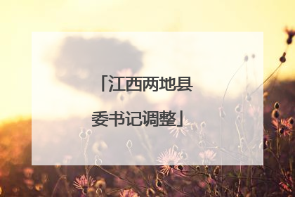江西两地县委书记调整