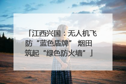江西兴国：无人机飞防“蓝色盾牌” 烟田筑起“绿色防火墙”
