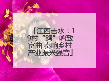 江西吉水：19村“鸽”鸣致富曲 奏响乡村产业振兴强音