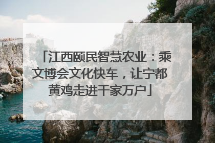 江西颐民智慧农业：乘文博会文化快车，让宁都黄鸡走进千家万户