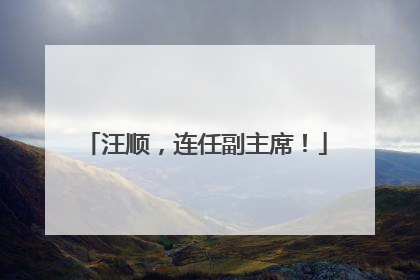 汪顺，连任副主席！