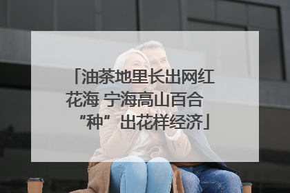 油茶地里长出网红花海 宁海高山百合“种”出花样经济