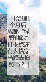 治理1个月后 成都“绿野仙踪”打卡点还有人横穿马路去拍照吗？｜民情瞭望