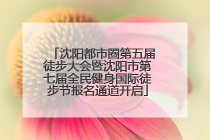 沈阳都市圈第五届徒步大会暨沈阳市第七届全民健身国际徒步节报名通道开启