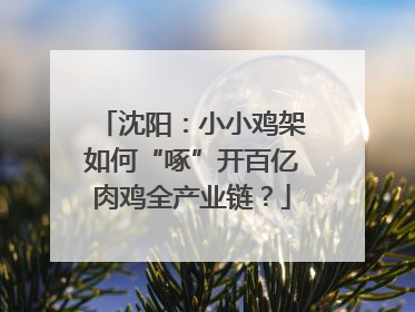 沈阳：小小鸡架如何“啄”开百亿肉鸡全产业链？