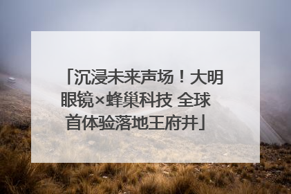 沉浸未来声场！大明眼镜×蜂巢科技 全球首体验落地王府井