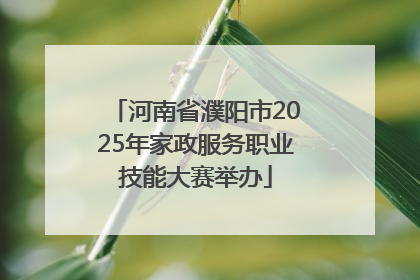 河南省濮阳市2025年家政服务职业技能大赛举办